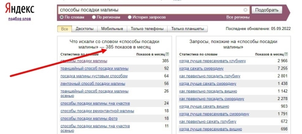 
                    SEO-тексты — это просто: как самому оптимизировать контент, если ты не сеошник            